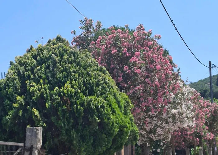 Casa Vrioni Apartmán *