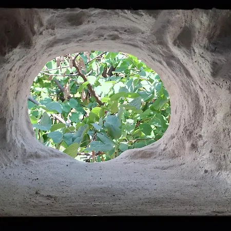 Apartament Casa Vrioni *